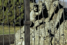 Knotted bars